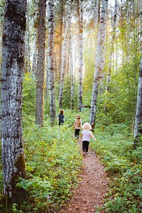 Let’s Hike! Hiking is (in my humble opinion) the best FREE activity in the park. There are so many trails to choose from whether you want a short jaunt, an easy walk or a long backcountry adventure, there is something for all abilities and adventure desires! There are some staple trails that everyone needs to see at least once, so here are our personal faves in the park! 1. Shady Lake Loop & The Height of Land This trail is an absolute must if you visit Waskesiu. It is the only “summit” at the p