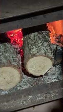 When your girlfriend hunts and cooks it #bushcraft #couplesadventure #hottentcamping