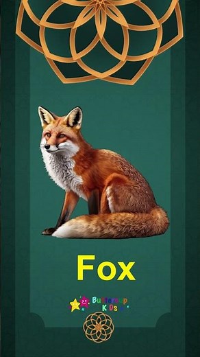 Alphabet X | Learn Letter X Words for Kids #Buttercupkids