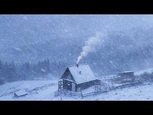 Surviving in a frozen cabin at -20 during a blizzard
