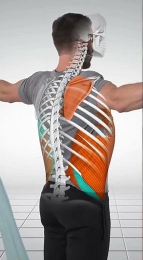 Shoulder Impingement Rehab: Scapular Retraction Exercise