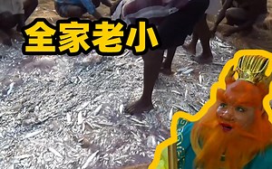 印度绝户捕鱼法，直接把龙王家底掏空