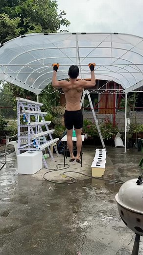 Hydroponics Greenhouse Project Ideas and Farming Techniques