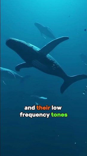 8 Fascinating Facts About Animals You’ve Never Heard Before! #AnimalFacts #Wildlife #facts #nature