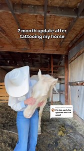 already seeing a big difference in his sensitivity to light🙏 alright keyboard warriors! let’s remember that horse skin is different than humans. no, it doesn’t burn worse. black absorbs uv, but doesn’t trap heat dangerously in skin this thin. yes, dark pigment reduces uv penetration. that’s photobiology 101, not opinion. no, it’s not replacing melanin. it mimics its function in high-risk pink skin. yes, pink skin has a higher rate of squamous cell carcinoma, especially around the eyes. no, this