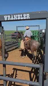 14 reactions |  Trouble finding good help? We’ve got the solution. ...