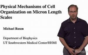 [iBiology] Michael Rosen 相分离