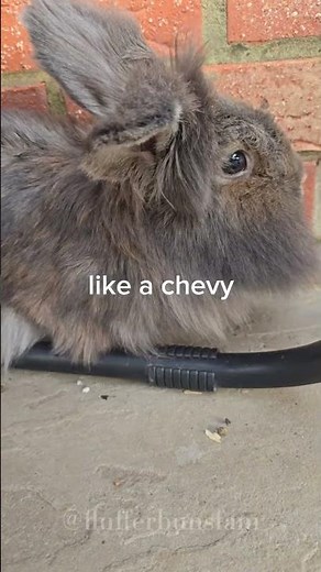 THICKER than a snicker #shorts #funny #viral #trending #comedy #relatable