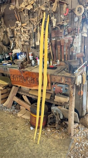 Twin Osage Bow Blanks #TOBB #selfbow #osageorange #bushcraft #novembersouth
