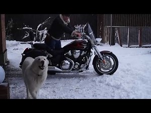 Review. How to make cold engine start and Honda VTX 1800 exaust sound || Denys Davydov