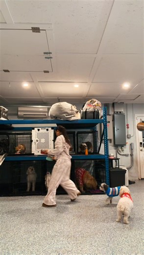 How to Spoil Your Dog: Feeding Tips with Whitney Wren