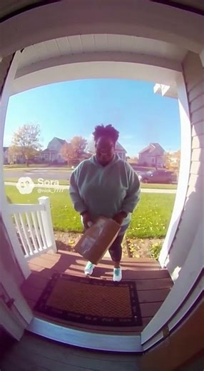 Parcel Thief Learns a Pink Lesson After Stealing the Package!