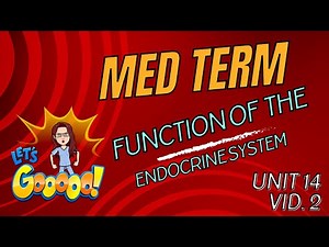 Endocrine System Functions Explained | Medical Terminology Unit 14 | Hormones and Organs