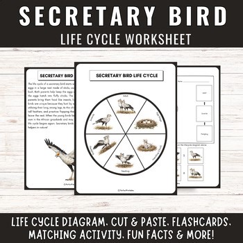 Secretary Bird Life Cycle: African Grasslands Science Unit Study & Fun Facts