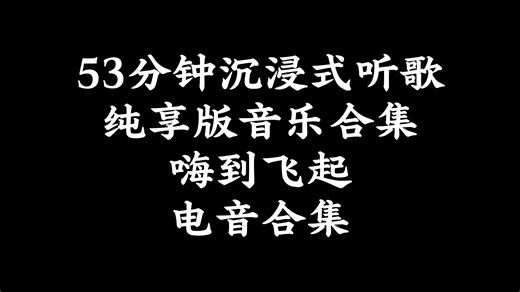 53分钟沉浸式听歌｜纯享版音乐合集｜嗨到飞起｜电音合集#流行DJ#音乐合集#电子音乐#舞曲#派对