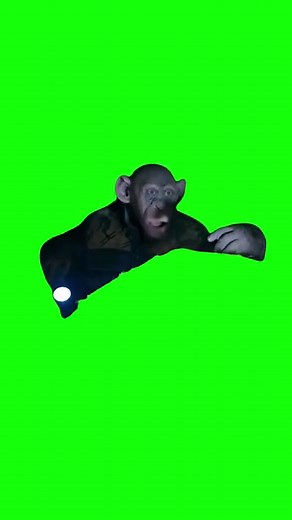 The Planet of the Apes' "Oh No!" Monkey Meme | Green Screen #ohno #planetoftheapes #ohnomonkey #viral #monkeymeme #meme #fyp | I Green Screen Things