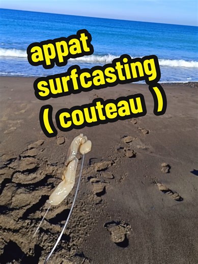 Le #couteau est un #appât facile à se procurer et qui fonctionne aussi bien en Méditerranée. La pêche au couteau en #surfcasting permet de cibler de belle #/#daurade , mais aussi d'autres espèces de #poisson .