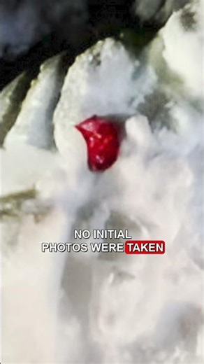 What Really Happened to John O’Keefe? The Karen Read Murder Case