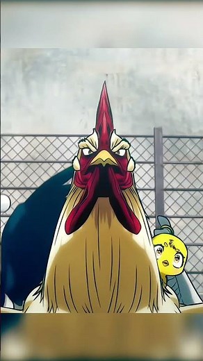 Rooster Fighter Anime Review