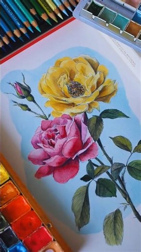 Rose Coloring 🌹 Relaxing Watercolor Adult Coloring