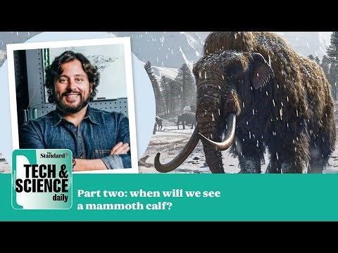 When will first woolly mammoth calf be born (Part two) | Tech & Science Daily Podcast Special