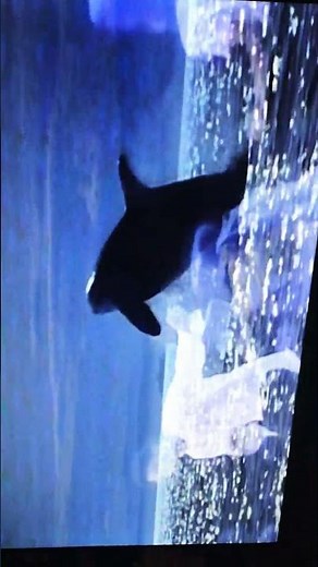 Free Willy Theme at the beginning of the Movie vhs 1993