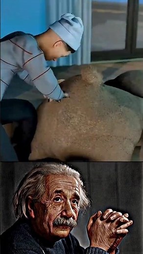 Sigma physics teacher 😱 #shorts #sigmaphysics #physics Credit :- ‪@zackdfilms‬ AlbertEinstein