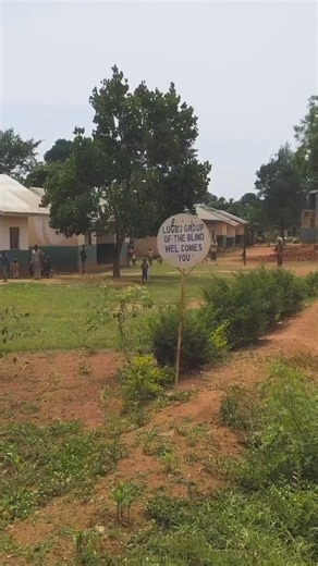 11K views · 167 reactions | Across Sub-Saharan Africa, more than 100 million people are living with some form of sight loss and in Uganda alone, more than three million are affected. While much of the country has access to medical facilities, those in rural areas often struggle to receive adequate eye care. In eastern Uganda, the BBC’s Agnes Penda visited a community of blind and visually impaired people who have decided to come together to support one another. | BBC News Africa | Facebook