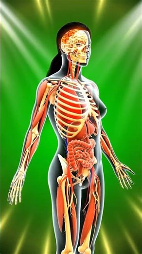 "Your Body Absorbing Nutrients in Real Time | 3D Animation"