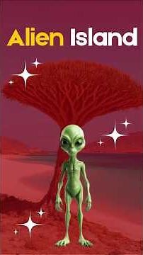 Alien Island: The Mysterious Socotra That Evolution Forgot