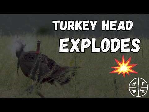 FULL SEASON GRIND!!!