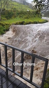 ⚠️Lamegoℹ️ O pequeno ribeiro do Coura, está gigantesco depois de uma noite de chuva muito intensa e forte nesta região. | Olhar D'Ouro