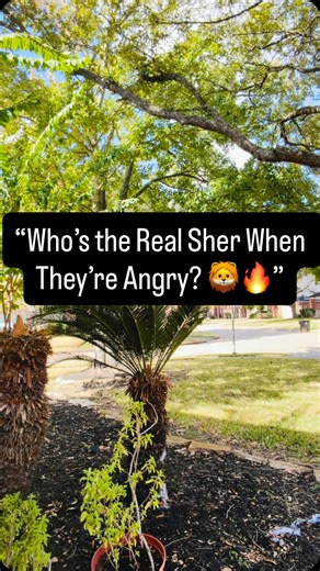 Zodiacs & Their Anger Level 🔥😤 Some signs explode… some stay silent… and some? Their anger is DEADLY. Which one are you? 👀🔥 Comment your sign ⬇️ | diviinehealing5