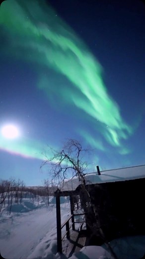 Chasing aurora is an art❤️ but sometimes is the aurora chasing you😂 #AuroraHunting #AuroraChasers #VisitLapland #AuroraAddict #GeomagneticStorm #EquinoxEnergy #LaplandMagic #NatureUnleashed | Lorenzo Mirandola