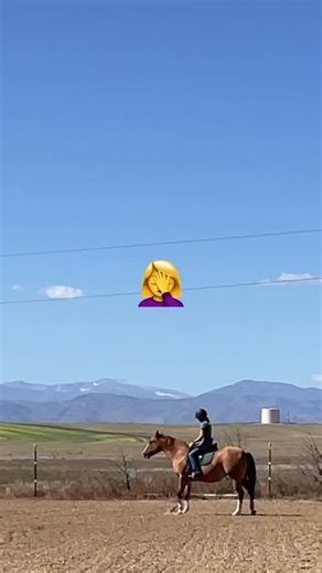 MN Equestrian on Instagram: "Another bit + bridle PSA from your friendly neighborhood horse trainer 😅🐴 This video goes over why it’s so important to use the right headstall for the type of bit you’re riding in. Some headstalls — especially minimal ones without a throatlatch or browband — can be easily shaken off when paired with a snaffle. No leverage, no poll pressure… and suddenly your bridle is on the ground. Leverage bits help keep headstalls in place because of that added poll pressure. S