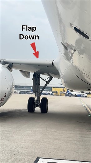 Flaps down of Airbus #leadingedgeflap #flaps #aviation