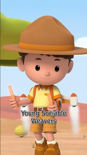 Animal Hotels Built by Birds?! 🏨 | Leo the Wildlife Ranger | #shorts #education #kids