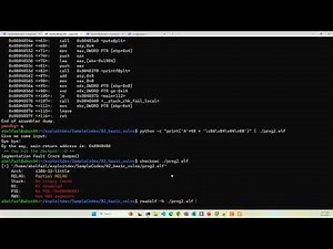 P03-03) Position Independent Code [PER]