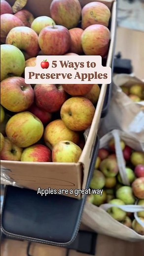 5 Ways to Preserve Apples #appleseason #foodpreservation #selfsufficiency