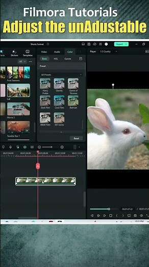 How to Adjust the Color Grading Presets in Filmora
