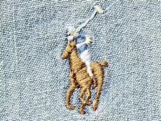 Exploring the Sport of Polo: A Guide to Equine Excitement