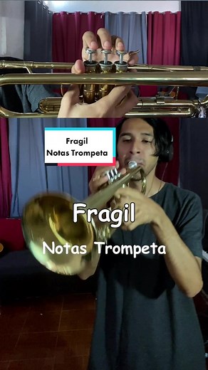 Cuentas recomendadas