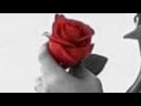 Shahazadi life Hacks Official is live!