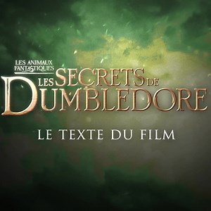 387K views · 154 reactions | ✨️ LES ANIMAUX FANTASTIQUES, LES SECRETS...