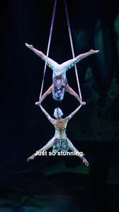 Toronto, thank you for your incredible energy, you made the OVO premiere a night to remember!!🐞💚 🐝 We can’t wait to welcome you at the Cirque du Soleil Pavilion for #OVOCirque, until June 28! 👉🎟️ https://cirk.me/4dgdbWw | OVO - Cirque du Soleil