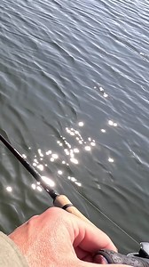 Deviator Swim steadily producing for Sean Wit 👌💥 #DeviatorSwim #SavageGear #LuresWithAttitude #SavageAdventures #SavageWorld | Savage Gear