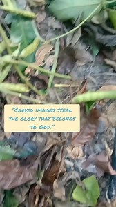 God doesn’t share His glory with idols because they are not alive, holy, or worthy. “My glory I will not give to another.” — Isaiah 42:8🙏 You may follow God’s Humble Declarations for more daily reflections and truth from God’s Word. 🙏 #GodsGlory #NoIdols | God's Humble Declarations