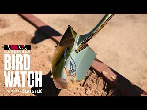 Cardinals Birdwatch - Behind The Scenes At The NFL Scouting Combine And Breaking New Ground