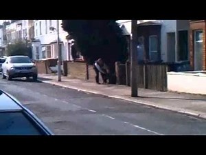 Graphic Footage of Pit Bull dog attacking Policemen