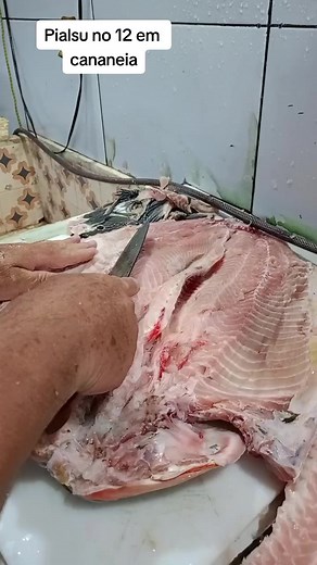 Filleting a Large Fish: Mastering the Technique